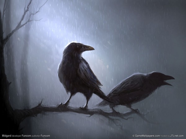 ravens-wallpaper_blabla