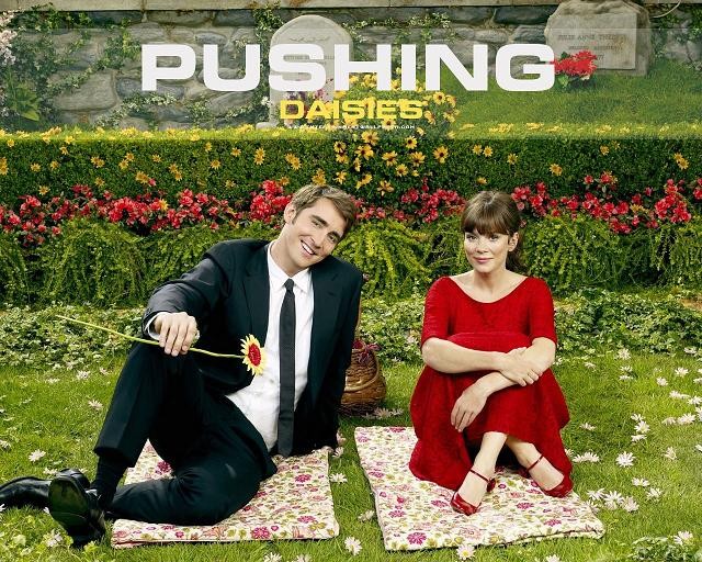 Pushing-Daisies-Cast-pushing-d