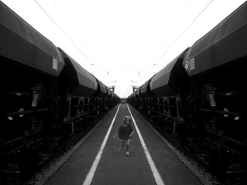 2531260611_2f56e0ac42