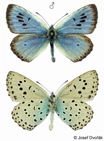 9684